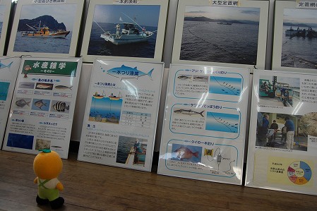 s-DSC_0022.jpg