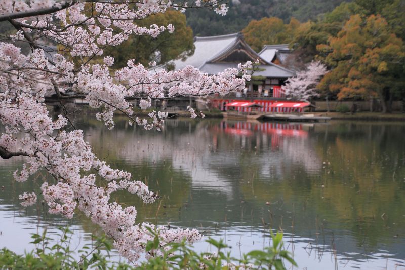 大沢池_005.jpg