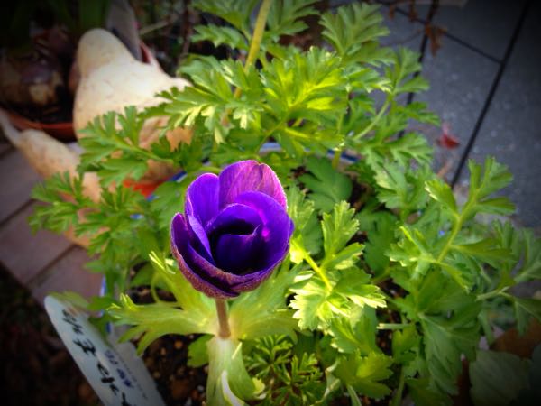rblog-20141231141432-04.jpg