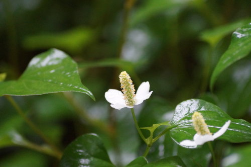 20140618_43.jpg