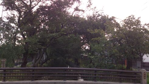 rblog-20140822191832-01.jpg