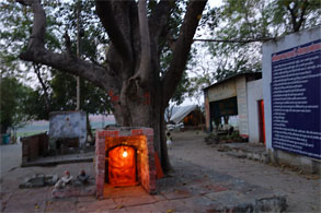 インド282.jpg