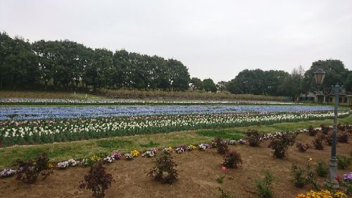 rblog-20180407211022-04.jpg