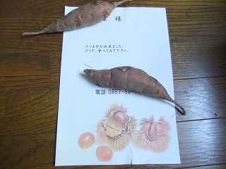 s-DSCF4684.jpg