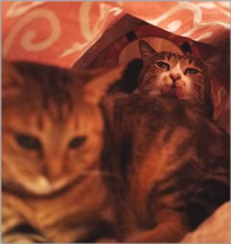 全力で舐めさせて頂きます