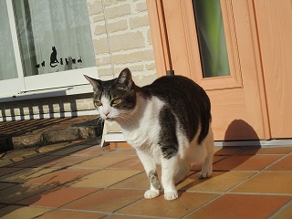 IMG_2937ss.jpg
