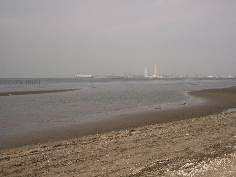 富津岬砂浜3.jpg