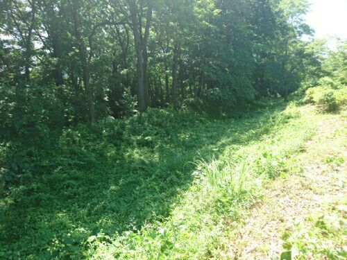 rblog-20180705001137-01.jpg