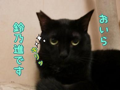 鈴乃進３.JPG
