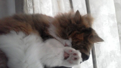 20140324141349.jpg