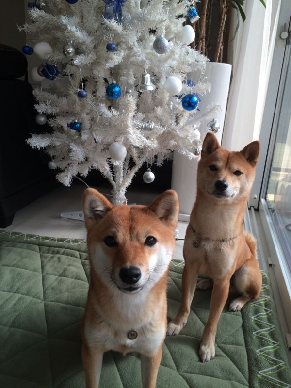 rblog-20151226080057-00.jpg