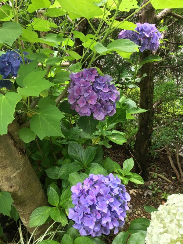 rblog-20160625211621-07.jpg