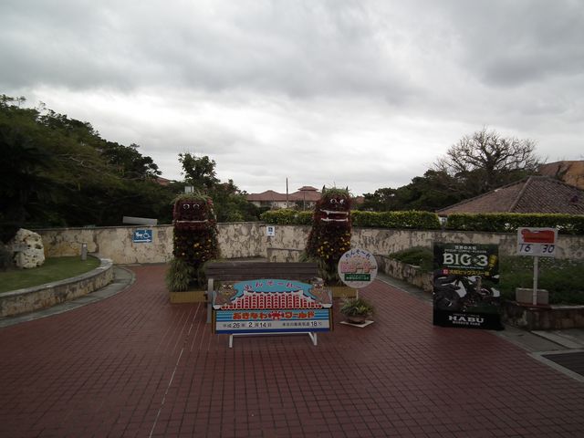 DSCF9011.JPG