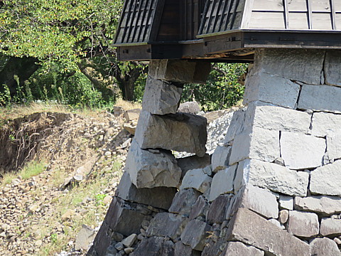 IMG_4851.jpg