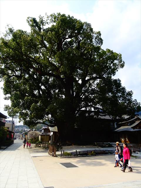 DSC03206_R.JPG