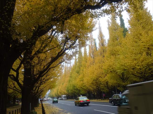 DSC07785_R.JPG