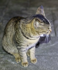 5DA_9731-4.jpg