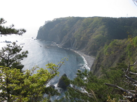 IMG_5737.JPG
