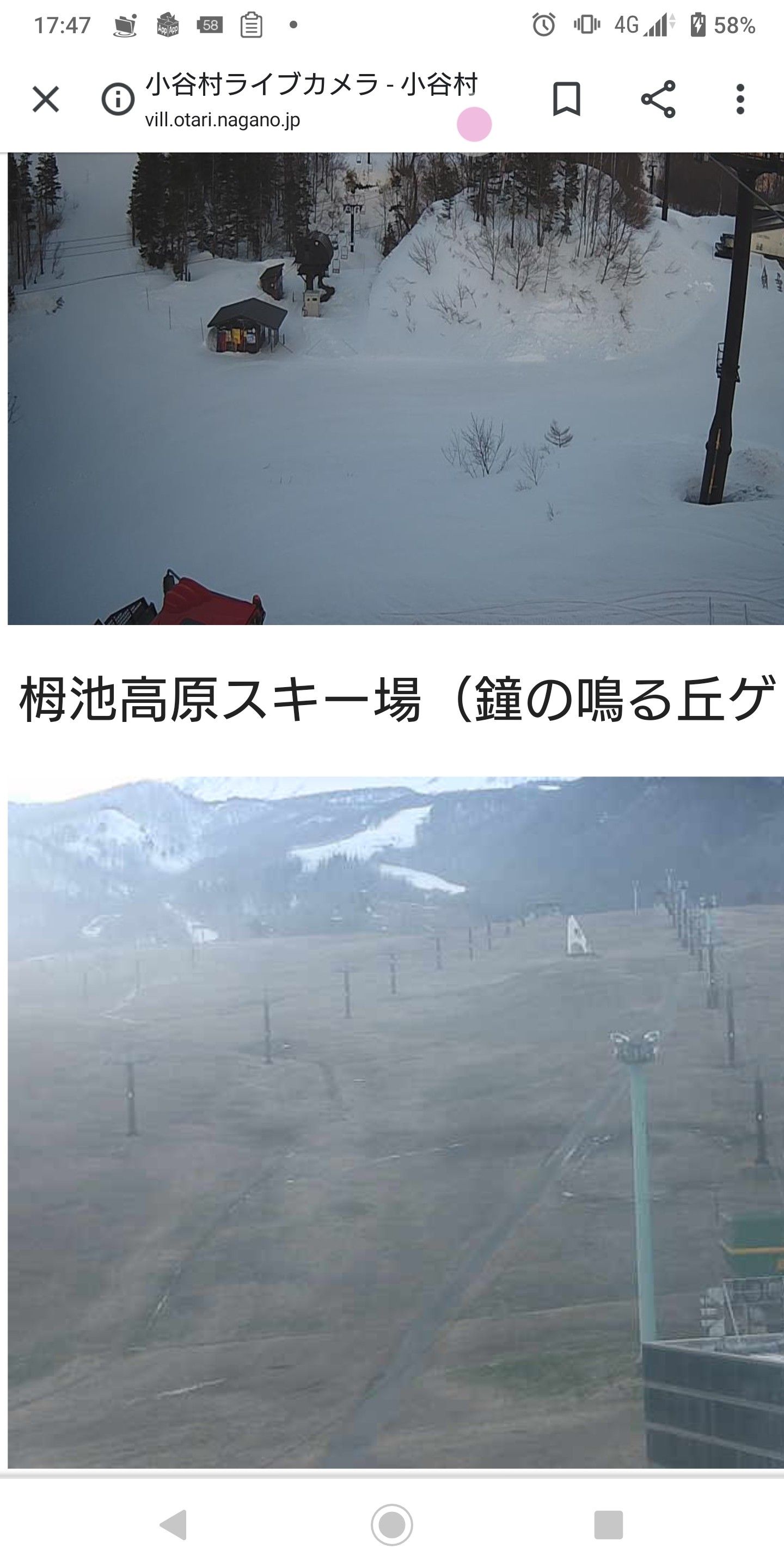 13 15日目 栂池高原スキー場 いきなり しま ぼし 楽天ブログ