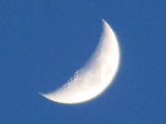 conv0142.JPG