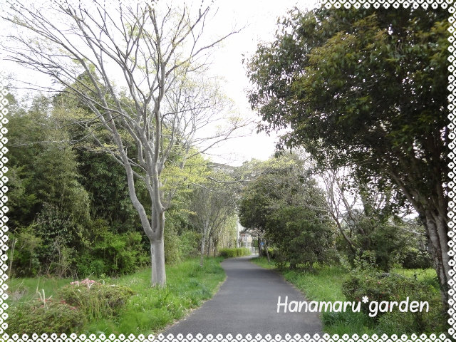 散歩道