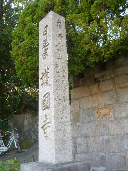 P1080780(1).JPG