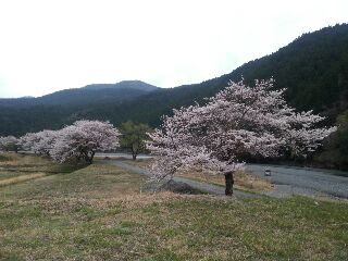 rblog-20140329202824-00.jpg