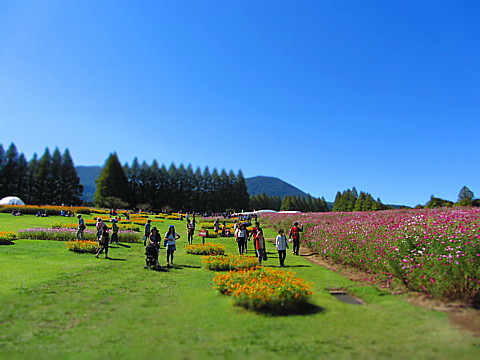 IMG_8798.jpg