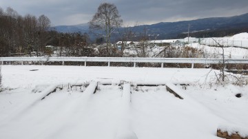 雪121208