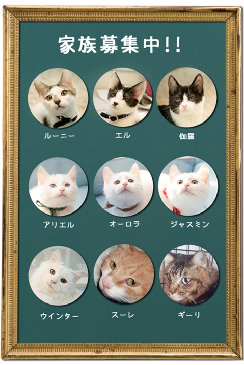 里親募集.jpg