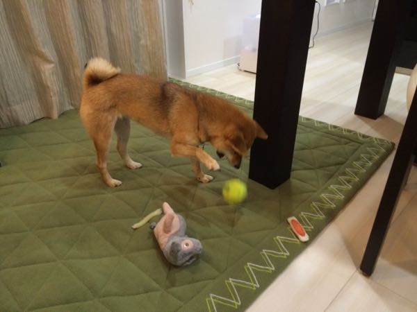 rblog-20160210021055-03.jpg