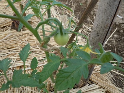 DSCN3577.jpg