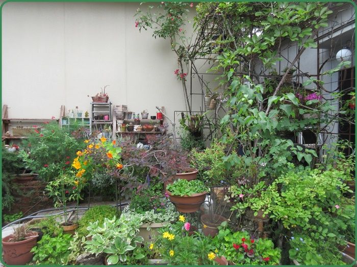 狭い庭をおしゃれな花壇にしようと研究中 狭い庭を花いっぱいにする育て方 楽天ブログ 狭い庭をおしゃれな花壇にしようと研究中 狭い庭を花いっぱいにする育て方 楽天ブログ