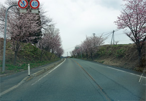 山形28.jpg