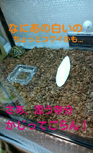 rblog-20151012154647-03.jpg