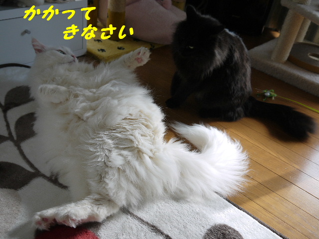 P1250592.JPG