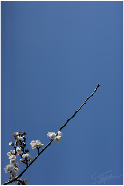 今日　2013/03/19