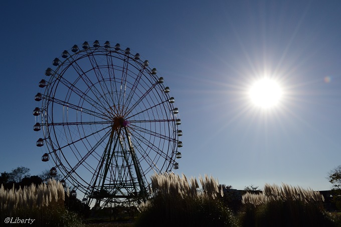 ひたちなか海浜公園
