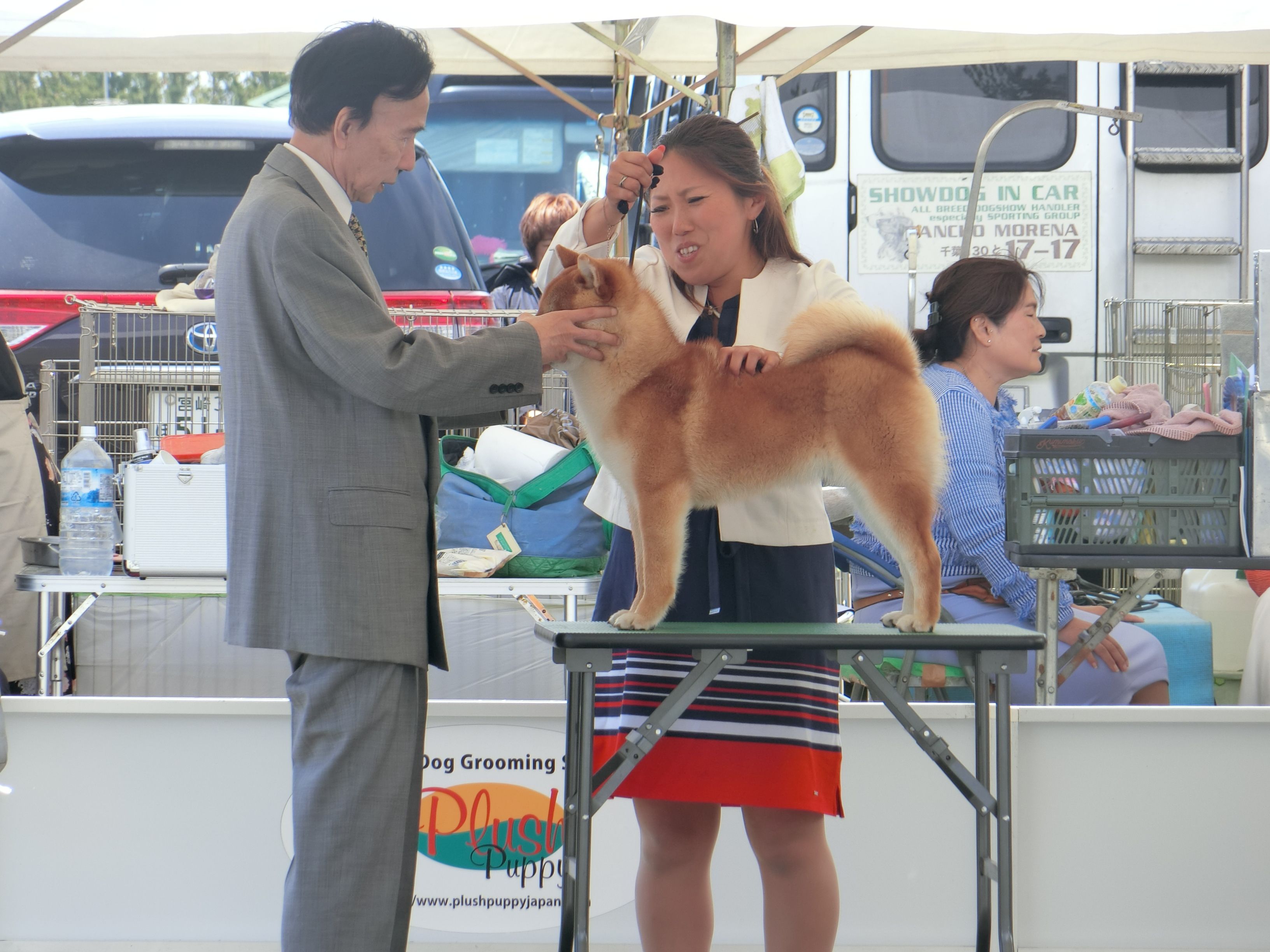 秋田県能代市にてドッグショーが開催されました ｐａｒｔ１ 青森愛犬美容専門学院 楽天ブログ