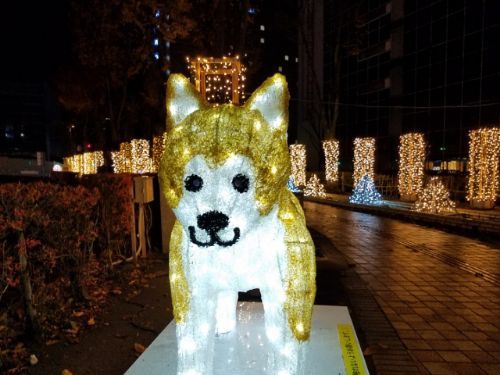 rblog-20181130075733-08.jpg