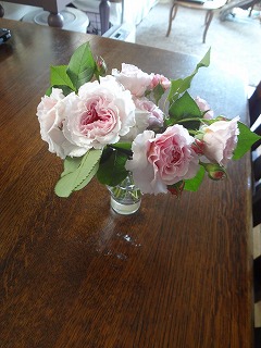 DSC05208.jpg