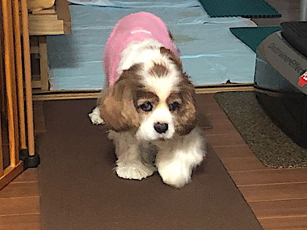 rblog-20180111080408-02.jpg