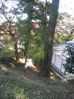土塁の広場２