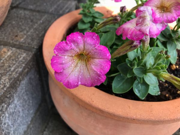 rblog-20190401164627-02.jpg