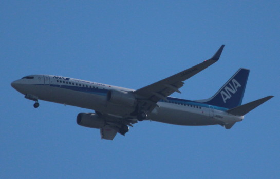 IMG_9866_1.JPG