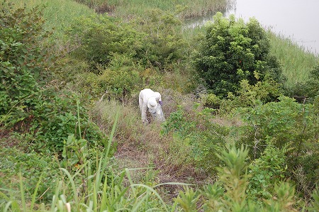 s-DSC_0709.jpg