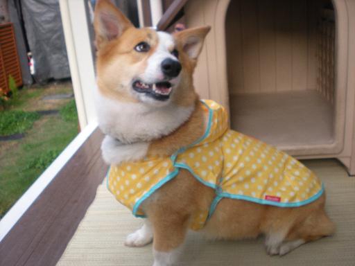 20120512061125.jpg