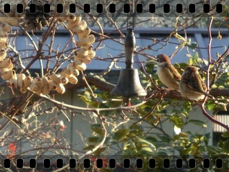 ピーナッツリース