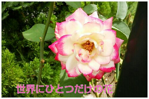 rblog-20160917145431-00.jpg
