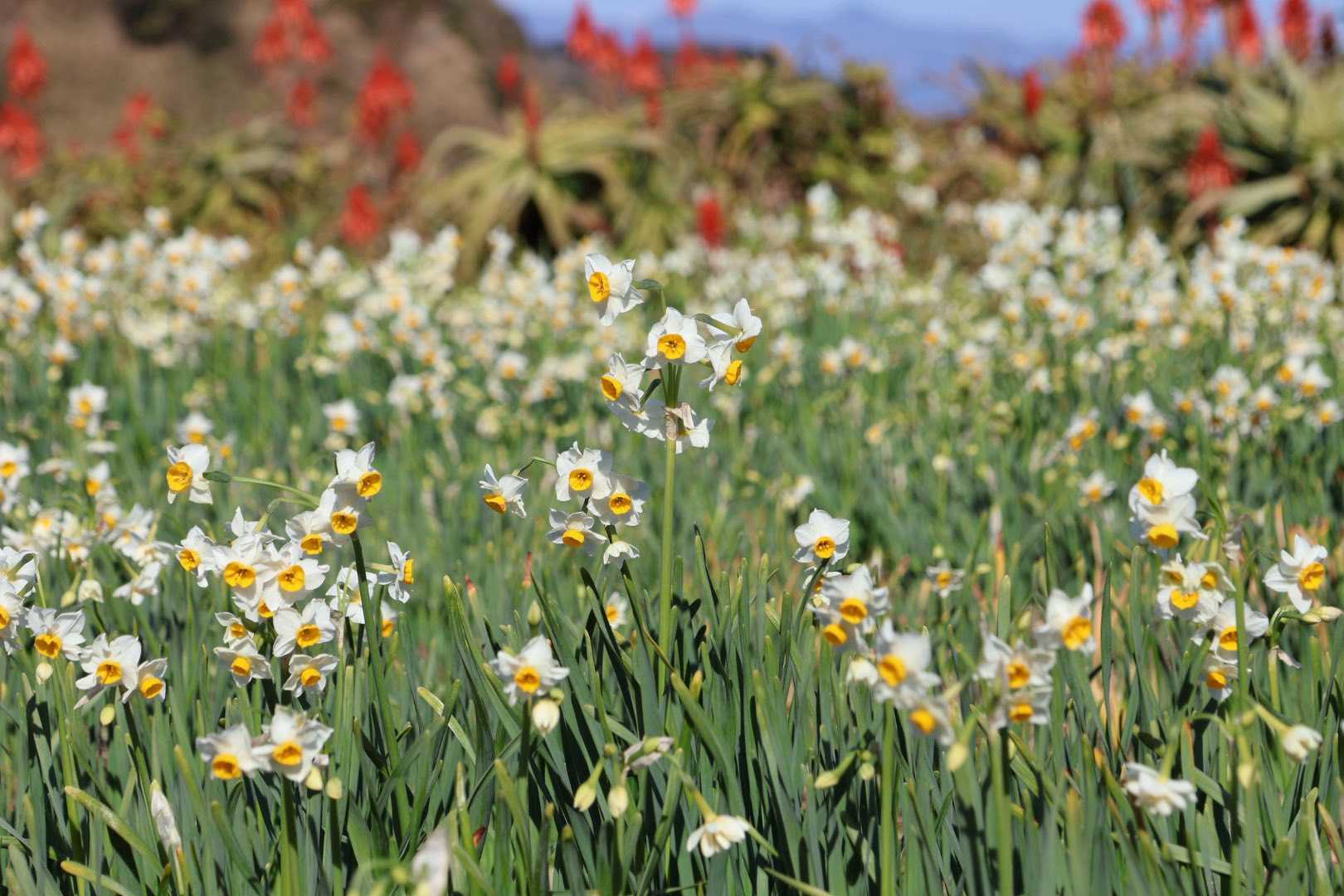 醍醐山と下部（しもべ）温泉
